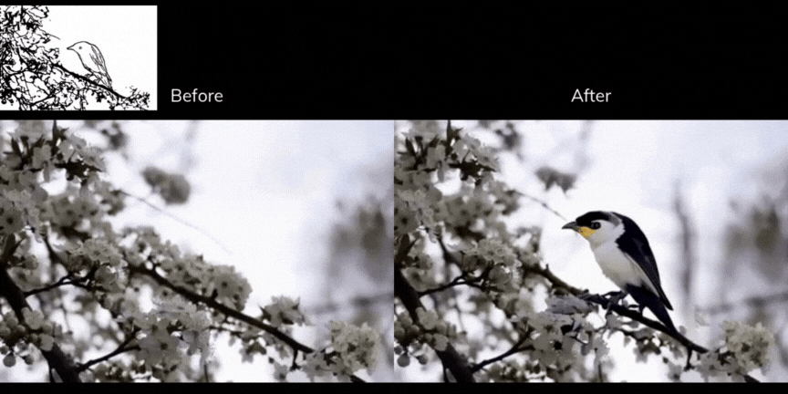 A sample video of the editing capability of SketchVideo