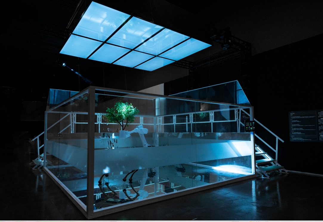 Full installation view of the artwork - Symbiosis of Agents